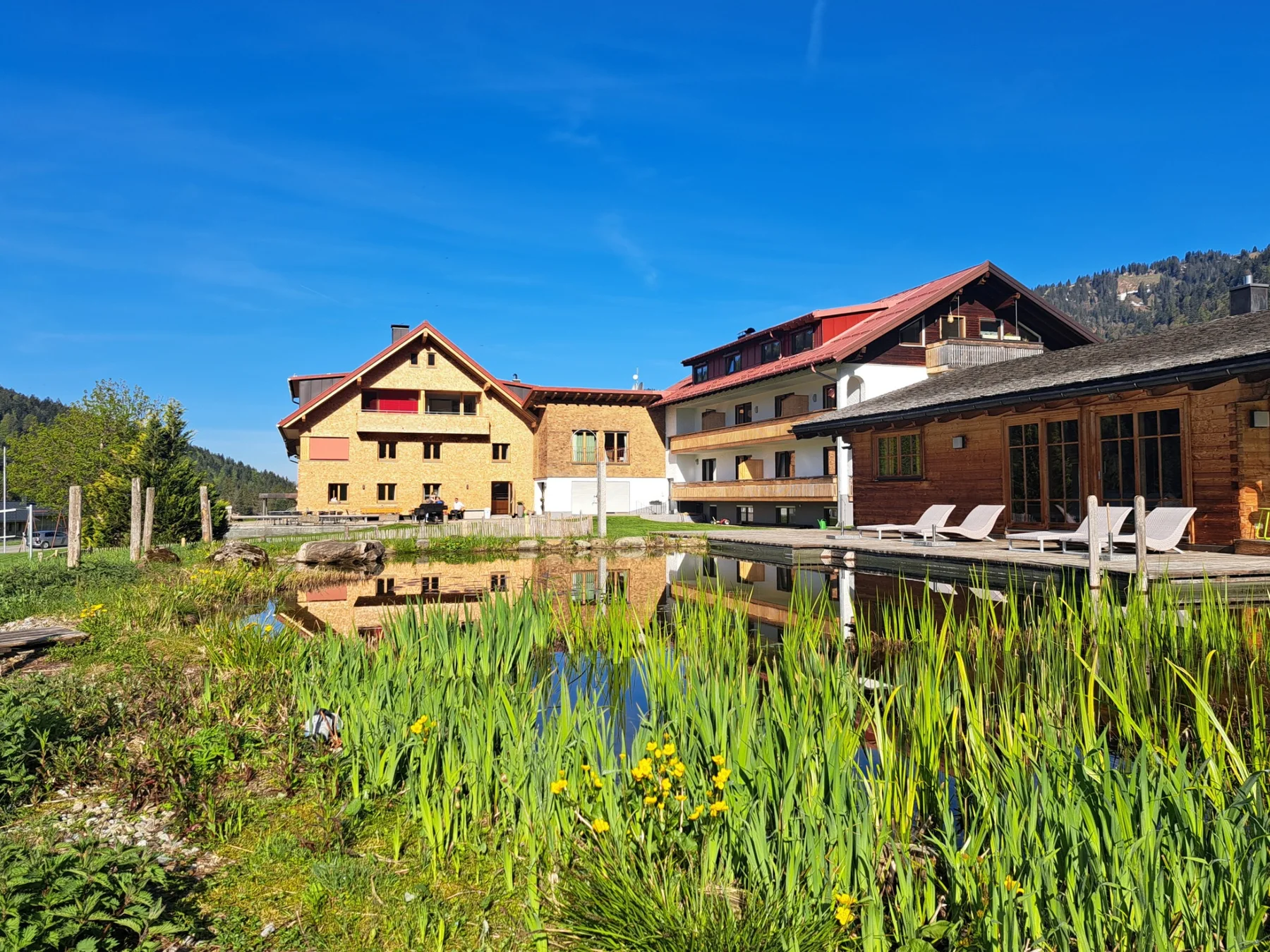 Almhof Lässer mit Naturbadeteich und Saunahaus in Balderschwang