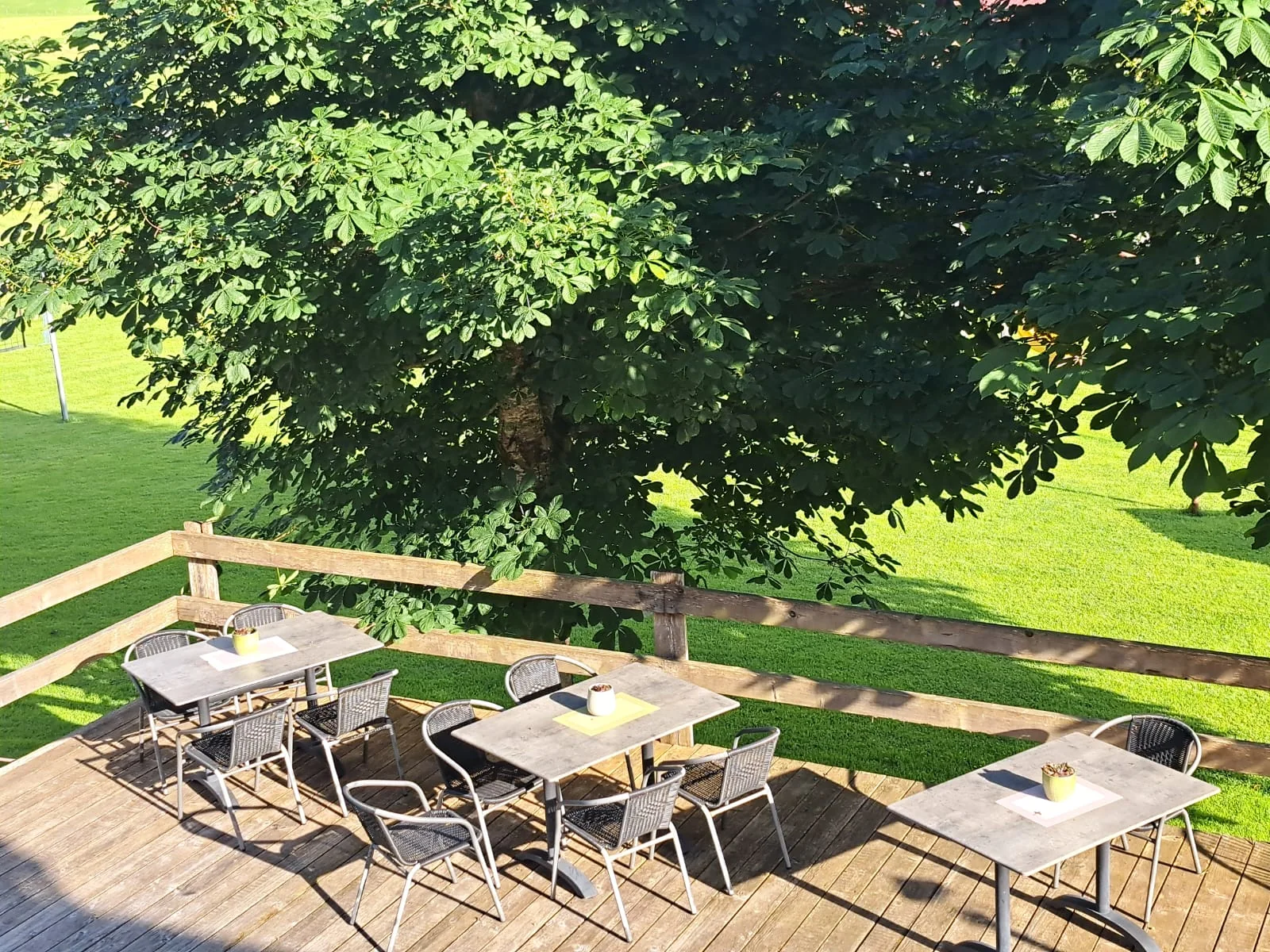 Terrasse unter den Kastanien am Almhof