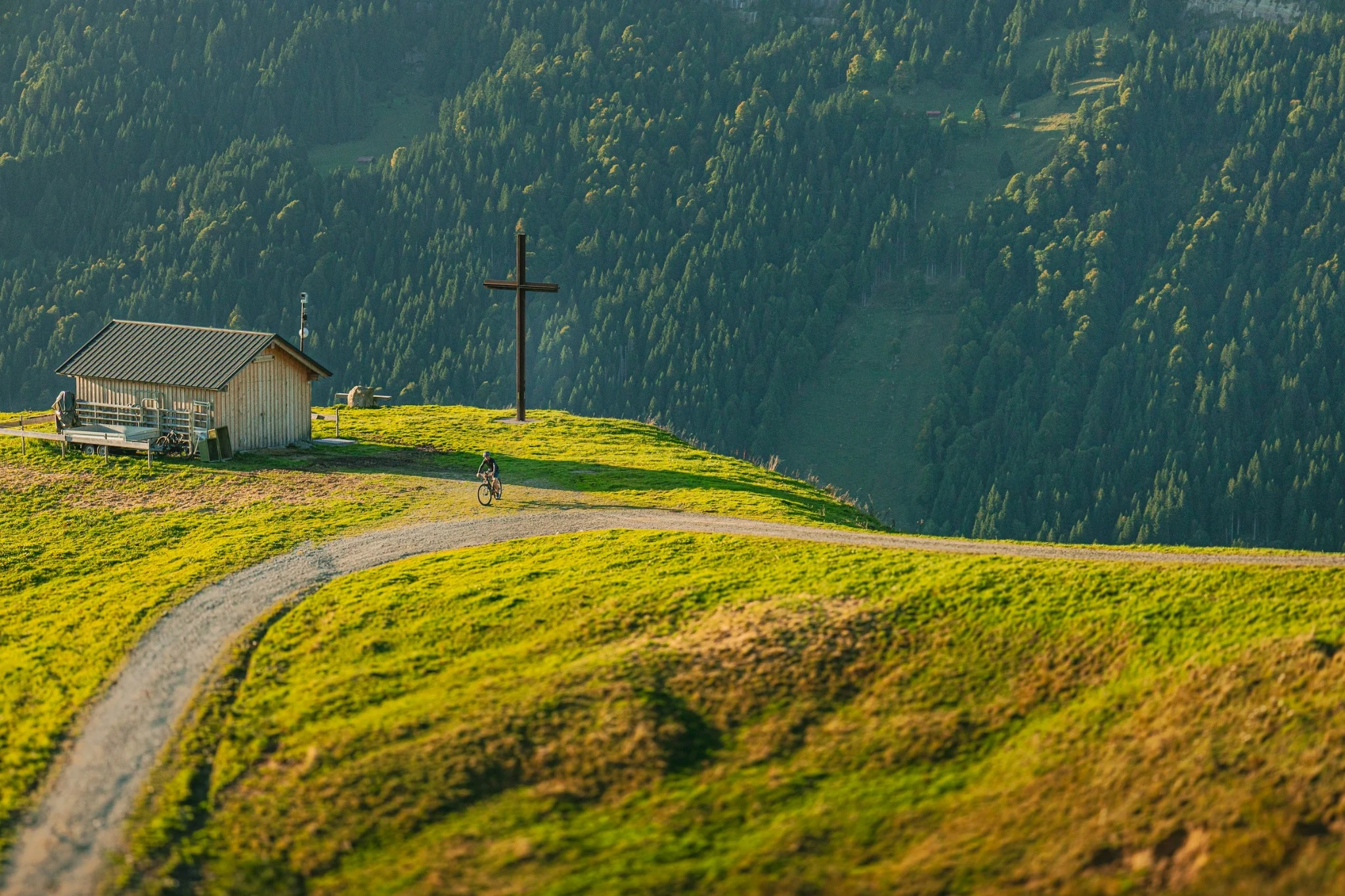 Kleine Alphütte und Weg auf einer sonnigen Bergwiese bei Balderschwang