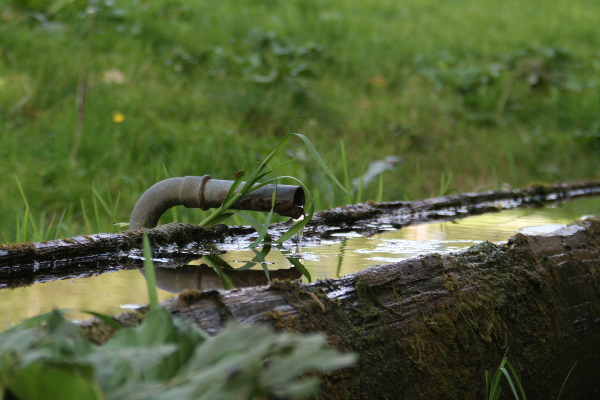 Brunnen am Wegesrand im Balderschwanger Tal