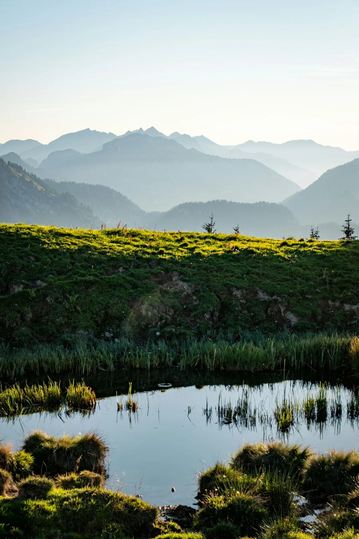 Hochmoor am Piesenkopf mit Blick in die Allgäuer Bergwelt
