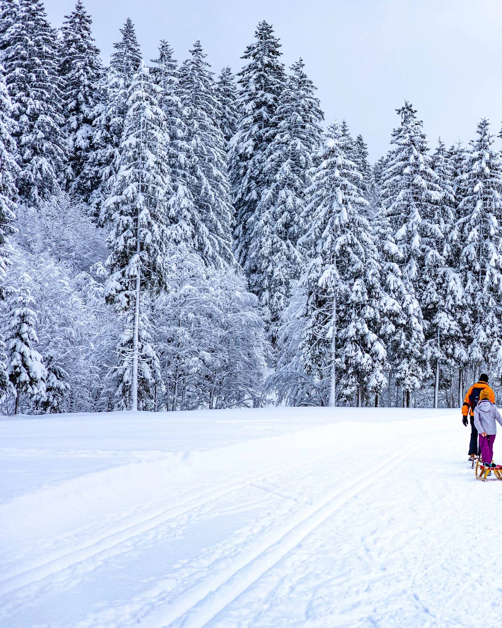 Familie mit Schlitten auf einem verschneiten Winterweg in Balderschwang