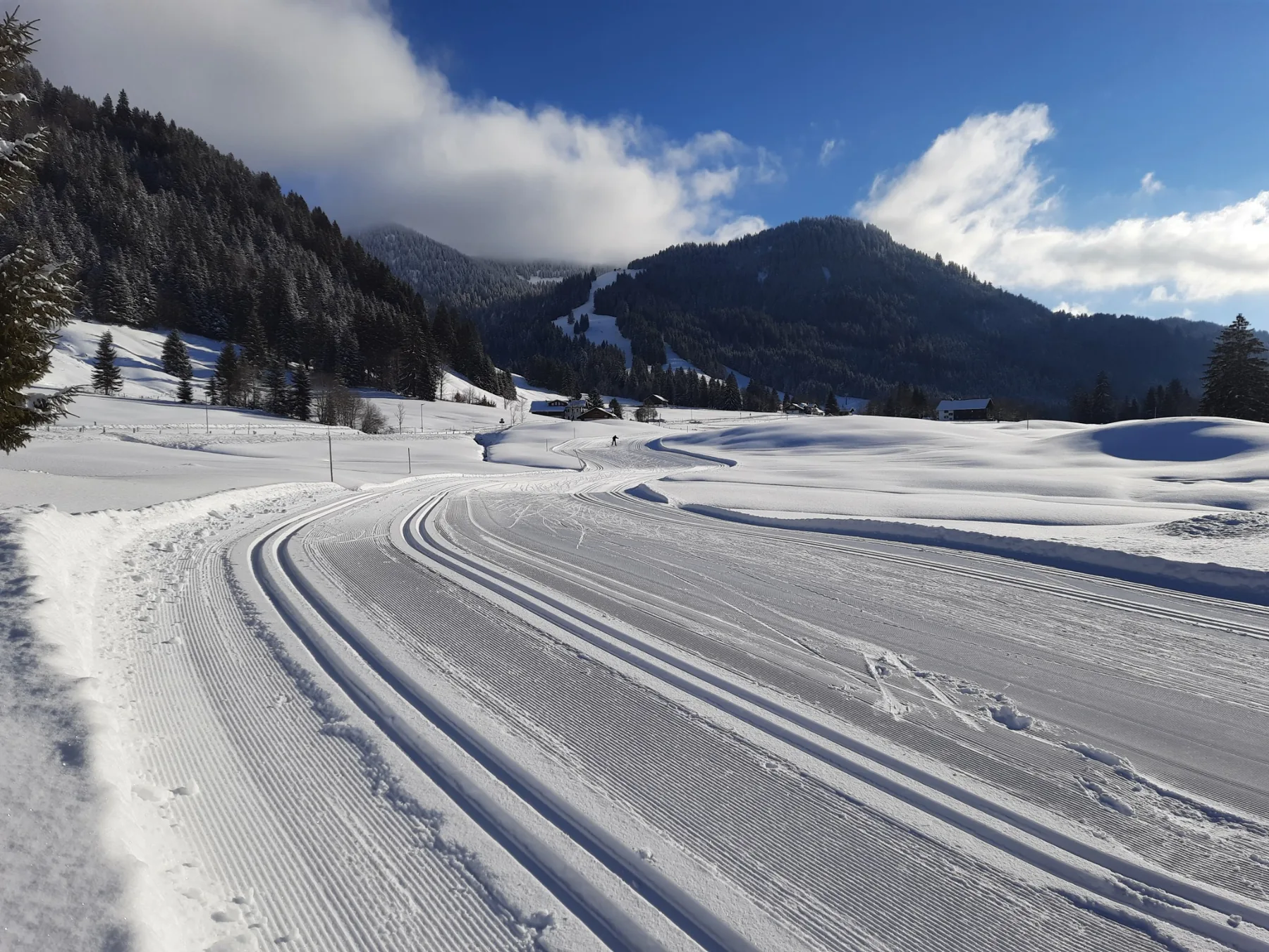 Präparierte Langlaufloipen durch die verschneite Landschaft bei Balderschwang