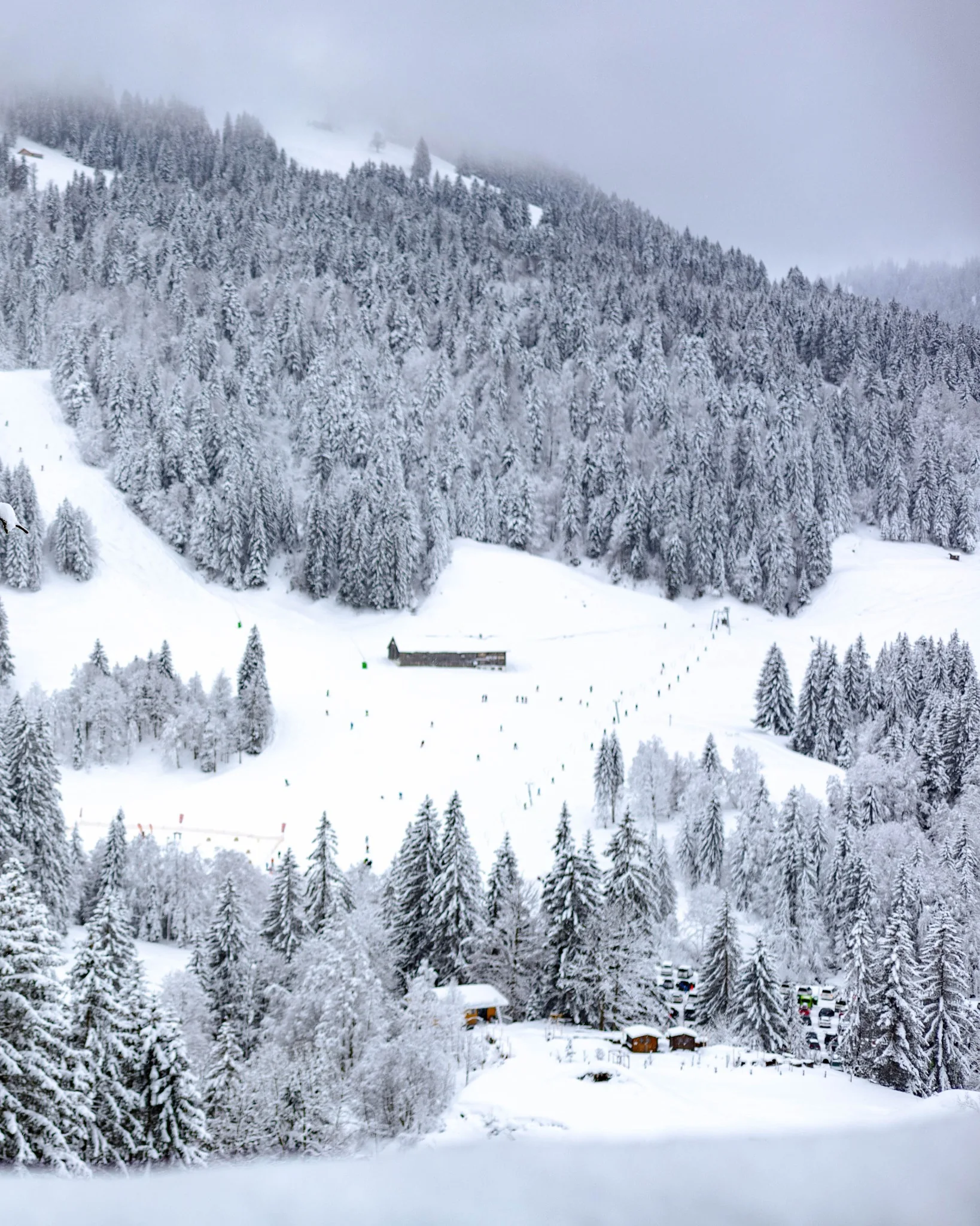 Tief verschneite Skipisten und Bergwald in Balderschwang